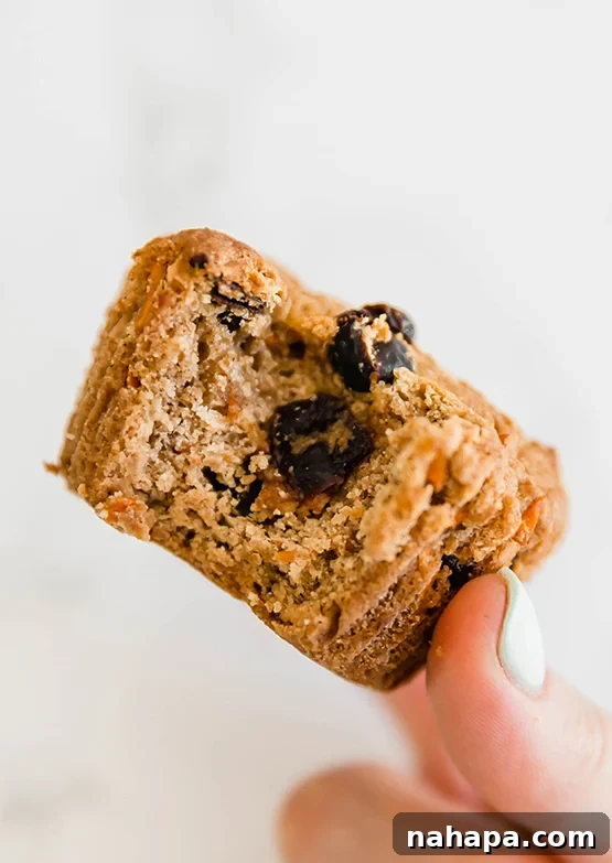 Irresistible AIP Paleo Gluten Free Carrot Cake Muffins 3 Carrot cake muffin with bite.