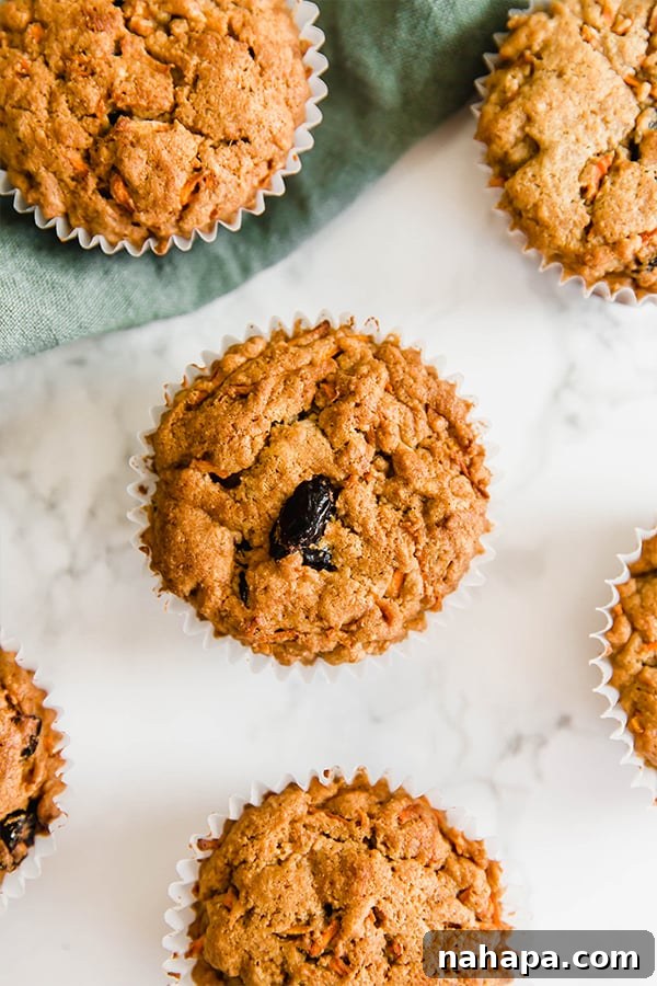 Irresistible AIP Paleo Gluten Free Carrot Cake Muffins 5 An overhead shot of carrot cake muffins all spread out on a counter.