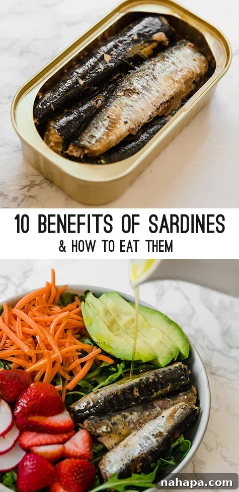 A visually appealing graphic listing the top 10 benefits of eating sardines for health and well-being.