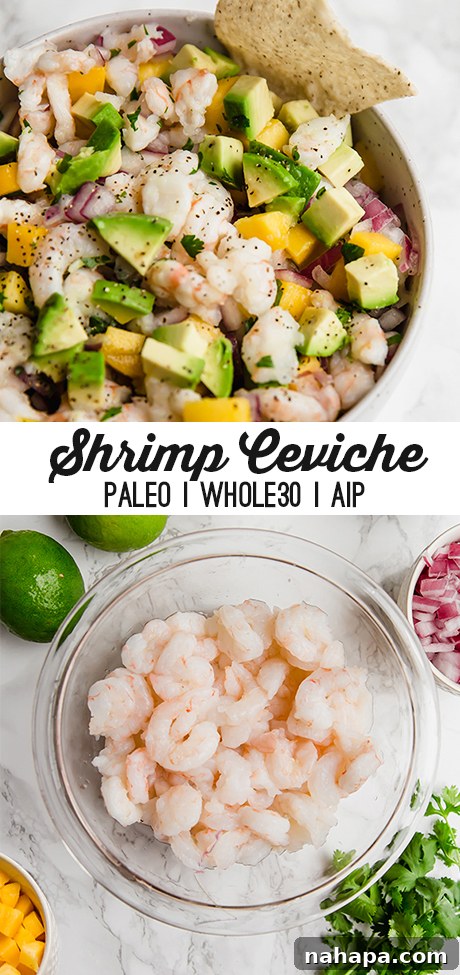 Mango Shrimp Ceviche Pinterest Pin image