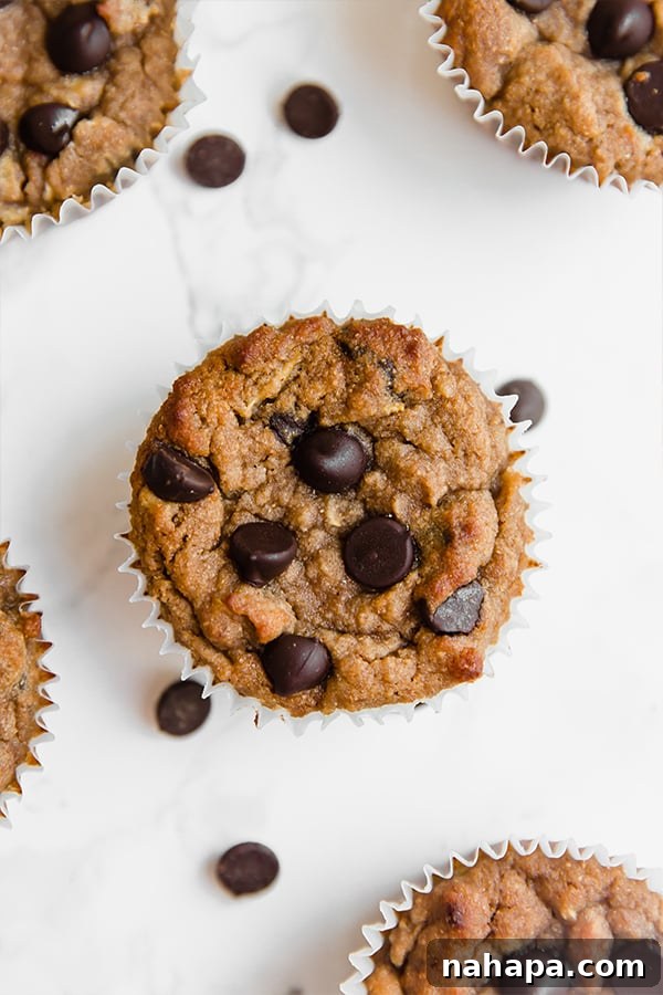 A zucchini chocolate chip muffin with extra chocolate chips.