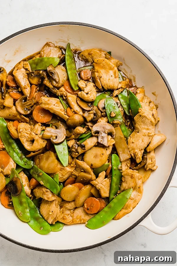 Finished Moo Goo Gai Pan dish