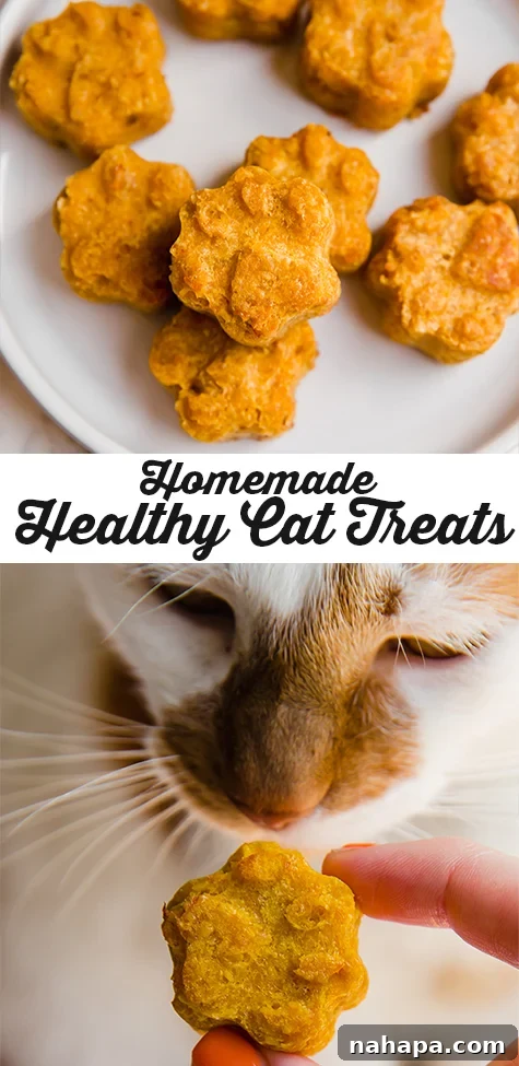 Purr-fectly Wholesome Pumpkin Bites for Cats 6 cat treats pinterest graphic