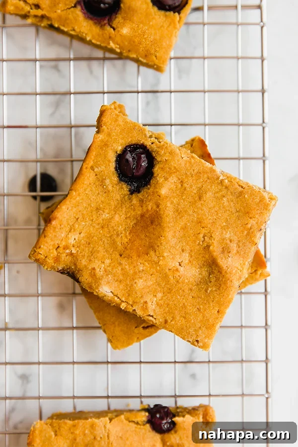 Wholesome Pumpkin Blueberry Morning Bars 3 Healthy Pumpkin Blueberry Breakfast Bars for Meal Prep