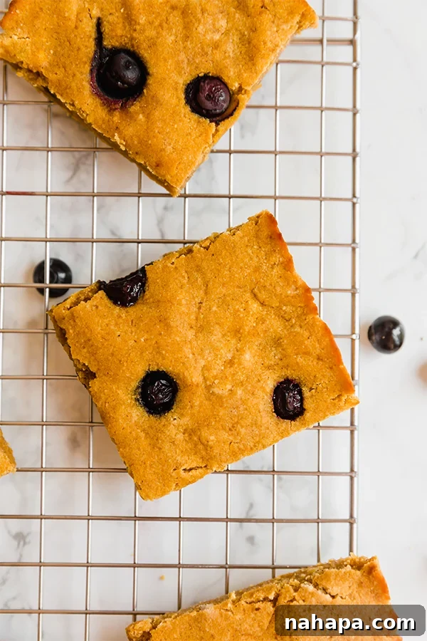 Wholesome Pumpkin Blueberry Morning Bars 4 Easy & Healthy Pumpkin Breakfast Bars