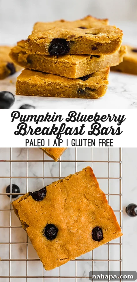 Wholesome Pumpkin Blueberry Morning Bars 5 Delicious Gluten-Free Pumpkin Blueberry Breakfast Bars for Pinterest