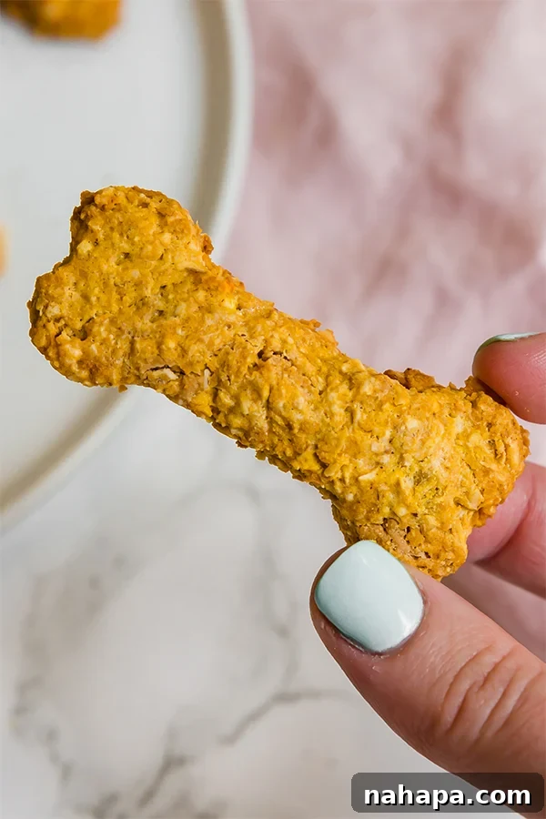 Close-up of baked peanut butter pumpkin dog treats, showcasing their crispy texture and appealing golden color.