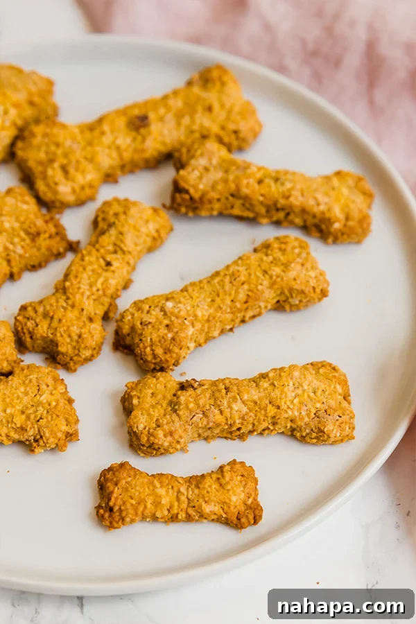A playful close-up of a dog's snout reaching for a homemade peanut butter dog treat.
