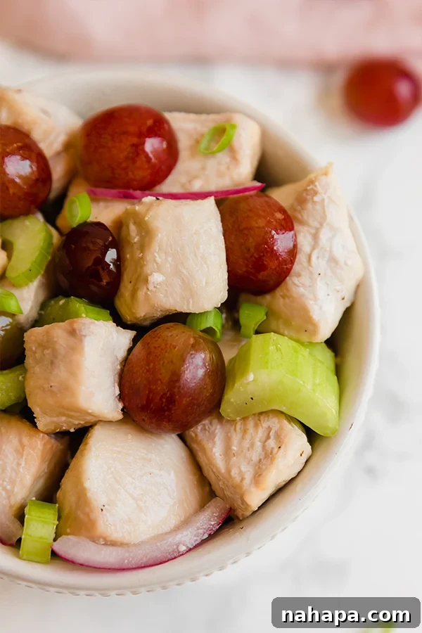 Wholesome No Mayo Chicken Salad Paleo Whole30 AIP 4 A close-up shot of paleo chicken salad without mayo in a bowl.