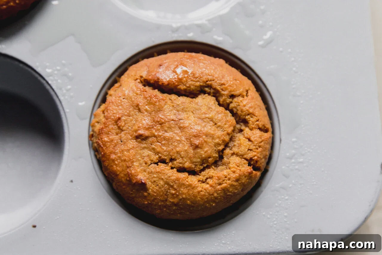 A muffin tin with a freshly baking high protein muffin in it.