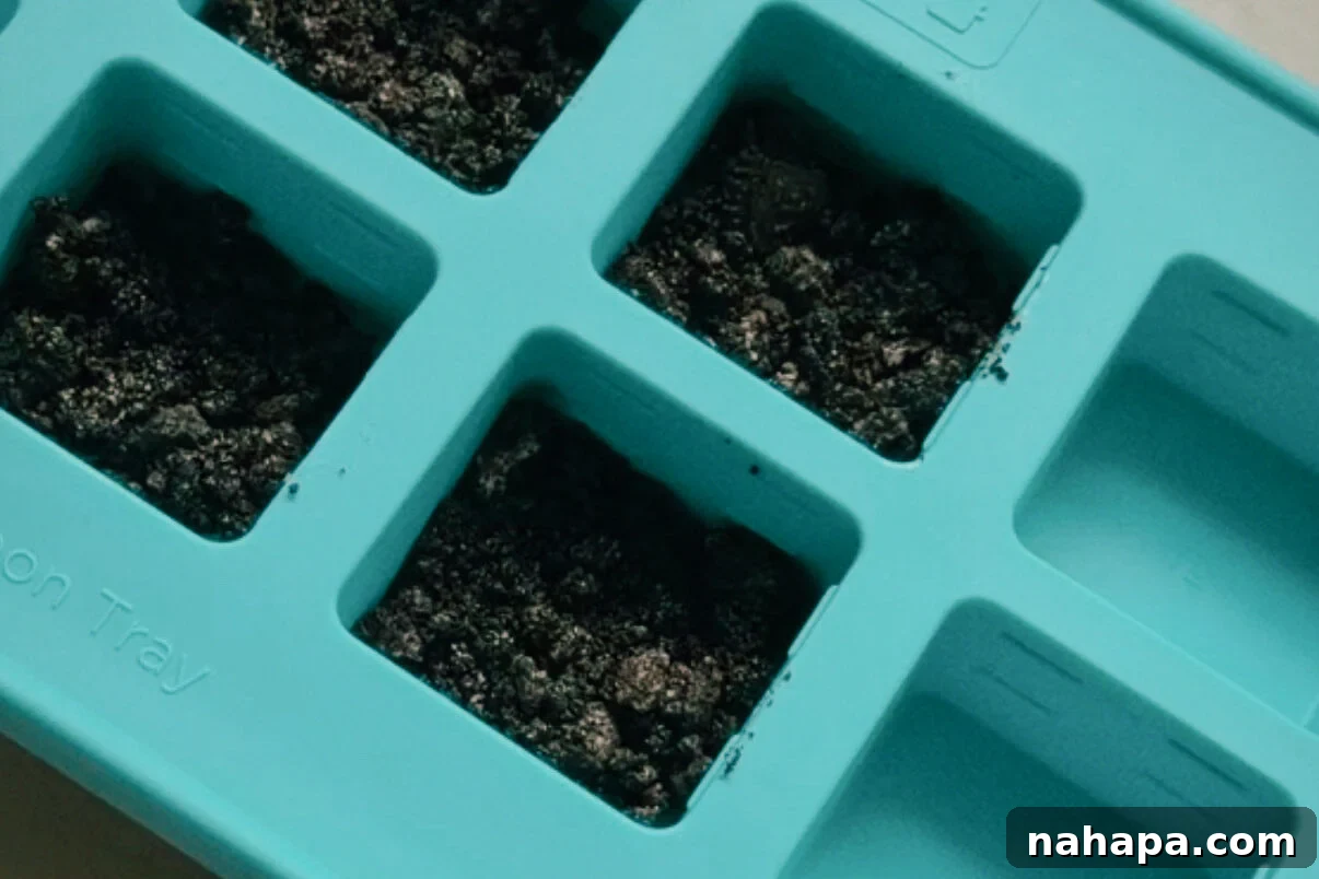 Cookie crumbles added to the bottom of the silicone molds before ice cream is added.
