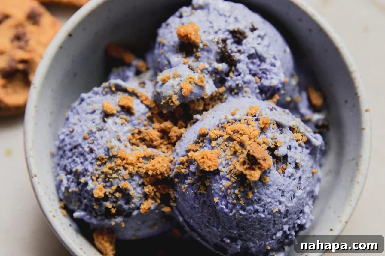 Ninja Creami Protein Cookie Monster Ice Cream Recipe 7 A white bowl filled with ninja creami protein cookie monster ice cream topped with crumbled cookies