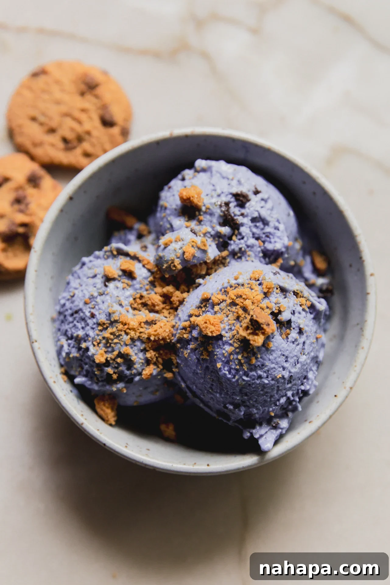 Ninja Creami Protein Cookie Monster Ice Cream Recipe 8 A white bowl filled with ninja creami protein cookie monster ice cream topped with crumbled cookies