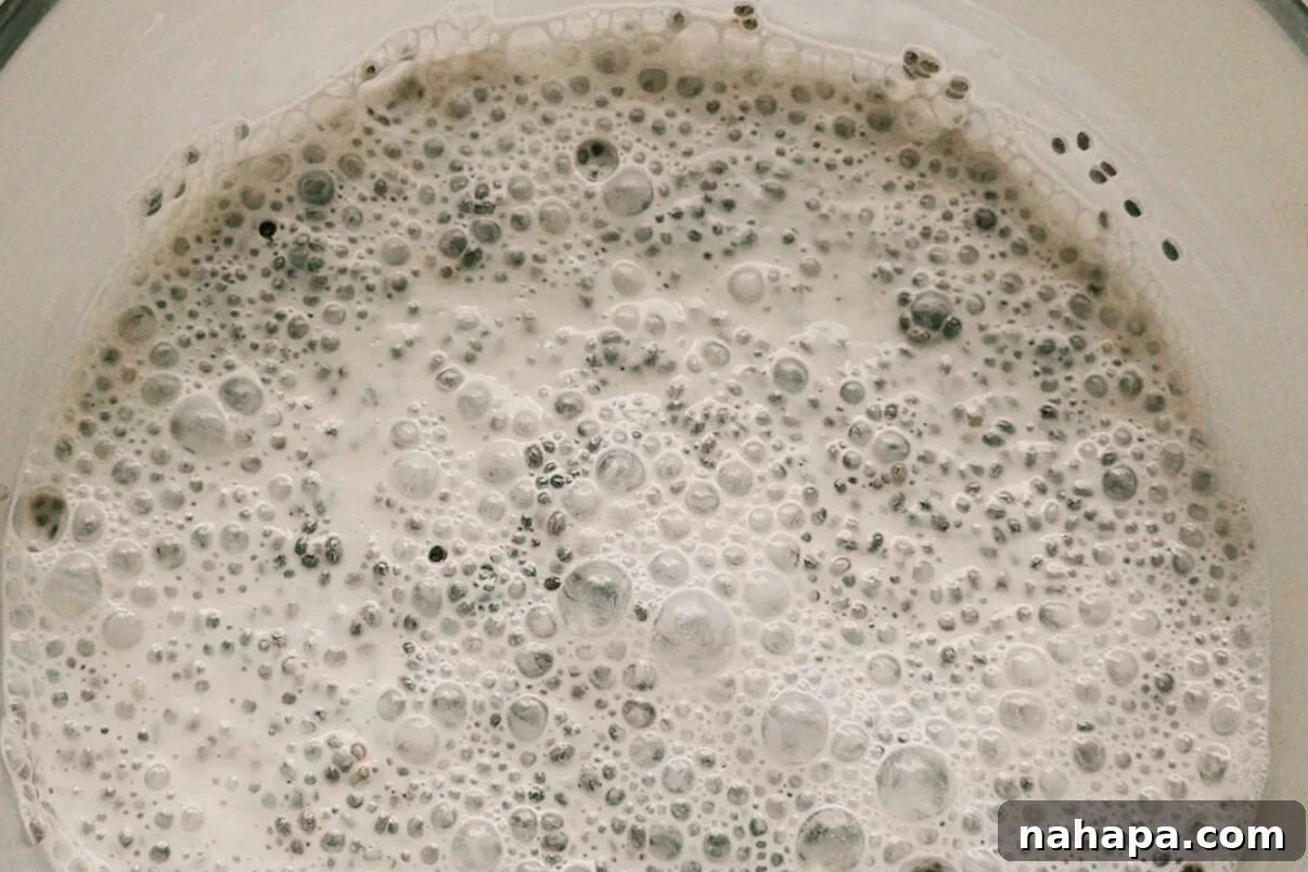 A white ceramic bowl with the ingredients for chia seed pudding before solidifying.