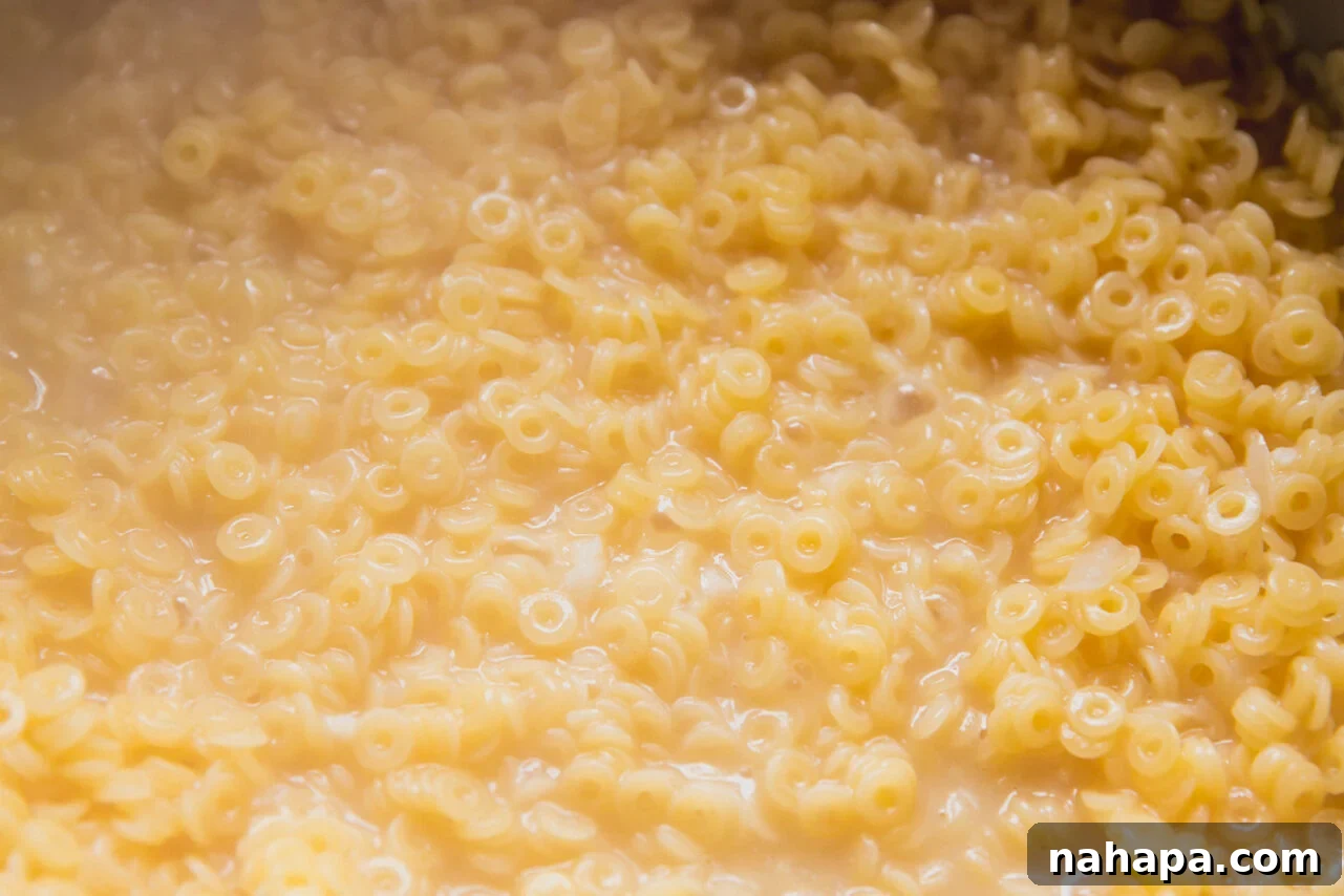 Homemade Gluten-Free Tomato-Free Spaghetti O's Recipe 8 The pasta cooking in broth in a pot.